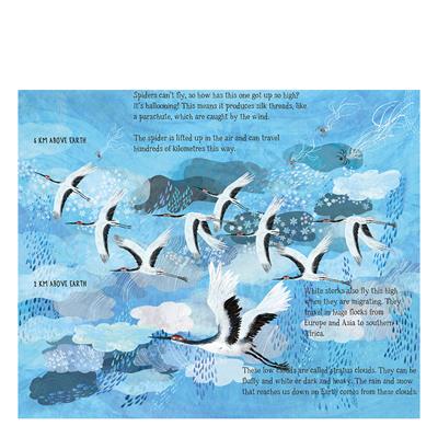 The Skies Above My Eyes