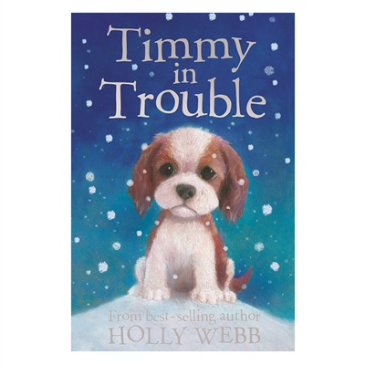 TIMMY IN TROUBLE #yeni gelenler Çocuk Kitapları Uzmanı - Children's Books Expert