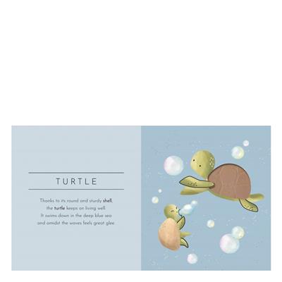 Touch And Feel - Animals