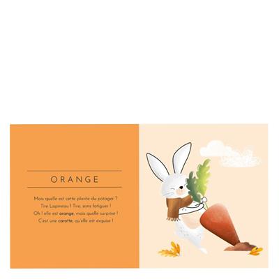 Touch And Feel - Colours