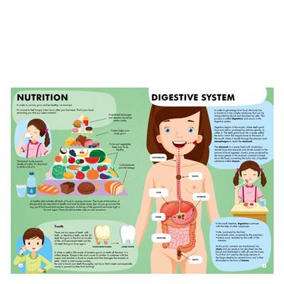 Gez - Öğren ve Keşfet - İnsan Vücudu