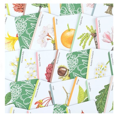 Tree Families (Cards)