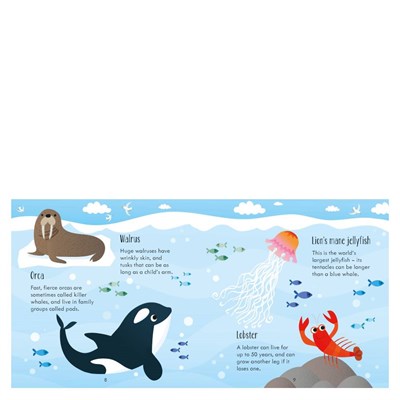 Under The Sea Matching Games