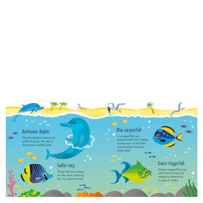Under The Sea Matching Games