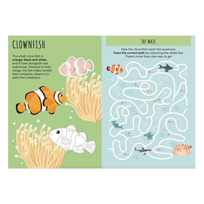 Köpek Balığına Dikkat Et - Kart Oyunu