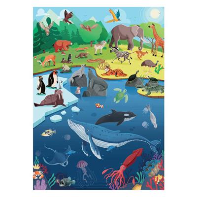 What- How- Why - Animals