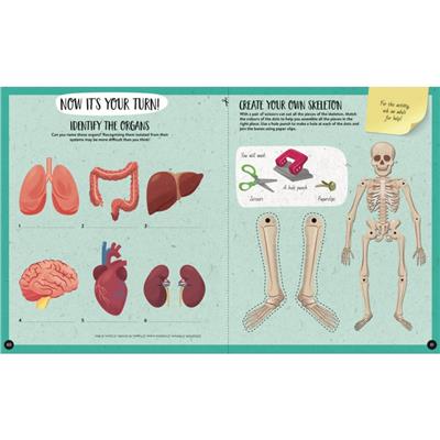 What- How- Why - Human Body