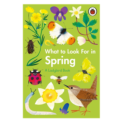 What To Look For In Spring