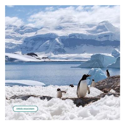 Yeryüzü - Genç Bir Bilim İnsanı İçin Kılavuz