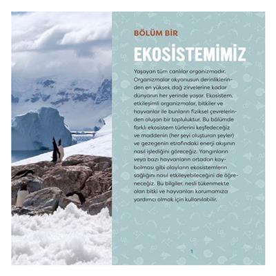 Yeryüzü - Genç Bir Bilim İnsanı İçin Kılavuz