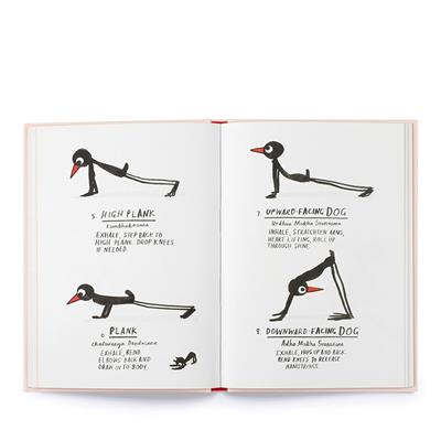 Yoga for Stiff Birds