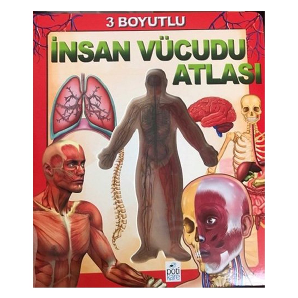 3 BOYUTLU İNSAN VÜCUDU ATLASI Çocuk Kitapları Uzmanı - Children's Books Expert