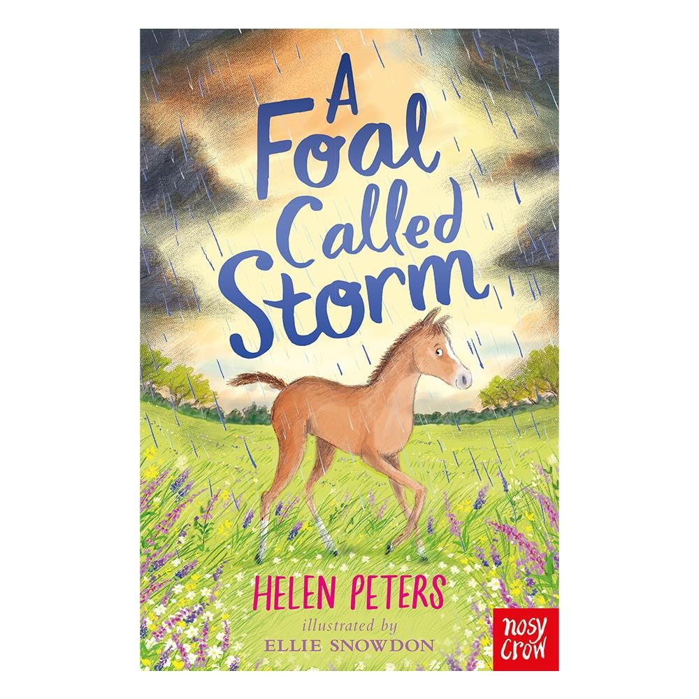 A FOAL CALLED STORM Çocuk Kitapları Uzmanı - Children's Books Expert