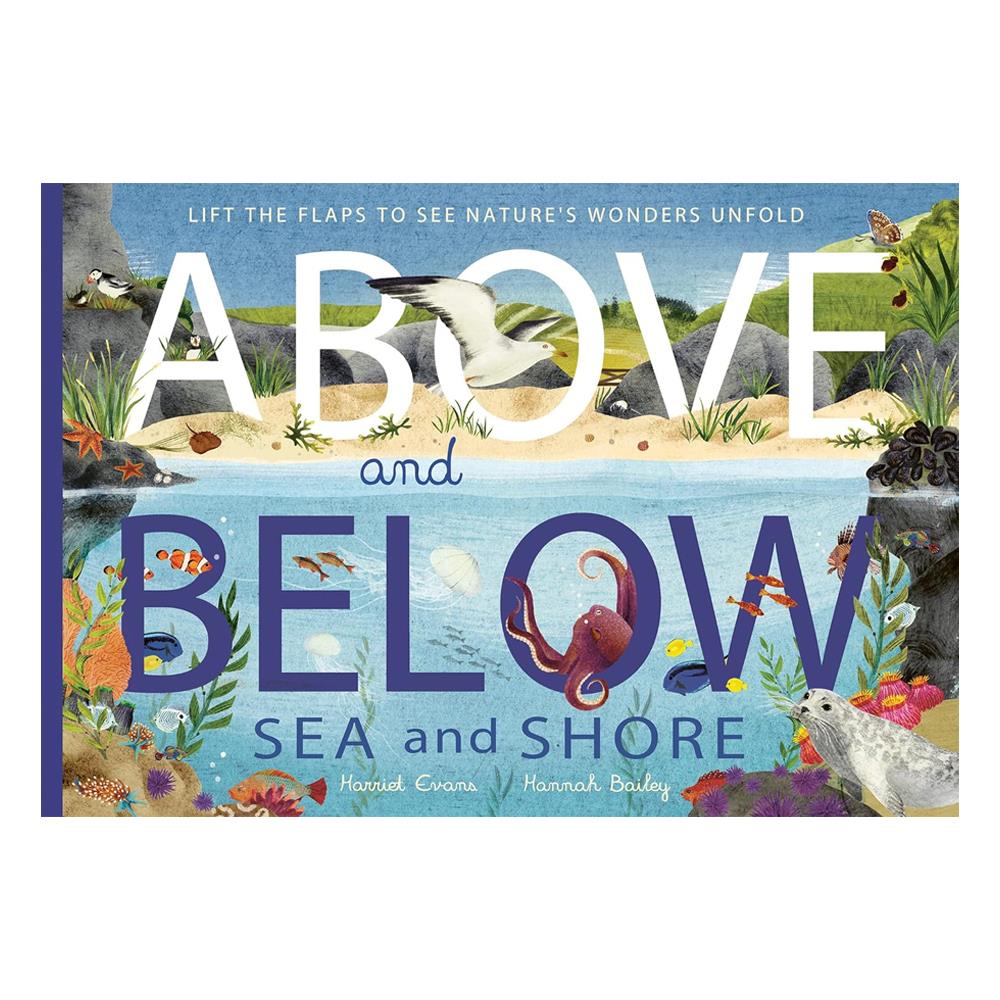 Above and Below - Sea and Shore Çocuk Kitapları Uzmanı - Children's Books Expert