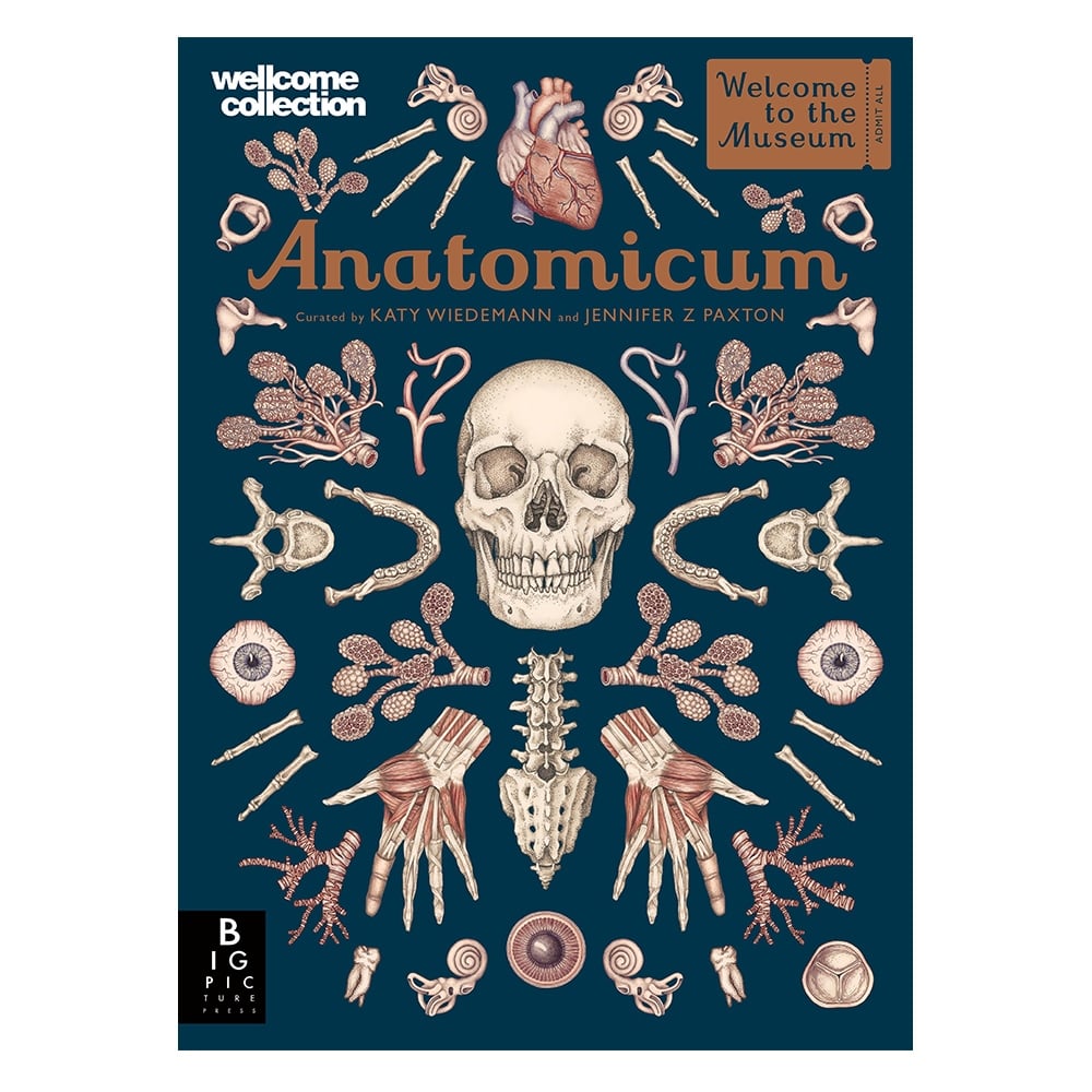 ANATOMICUM Çocuk Kitapları Uzmanı - Children's Books Expert