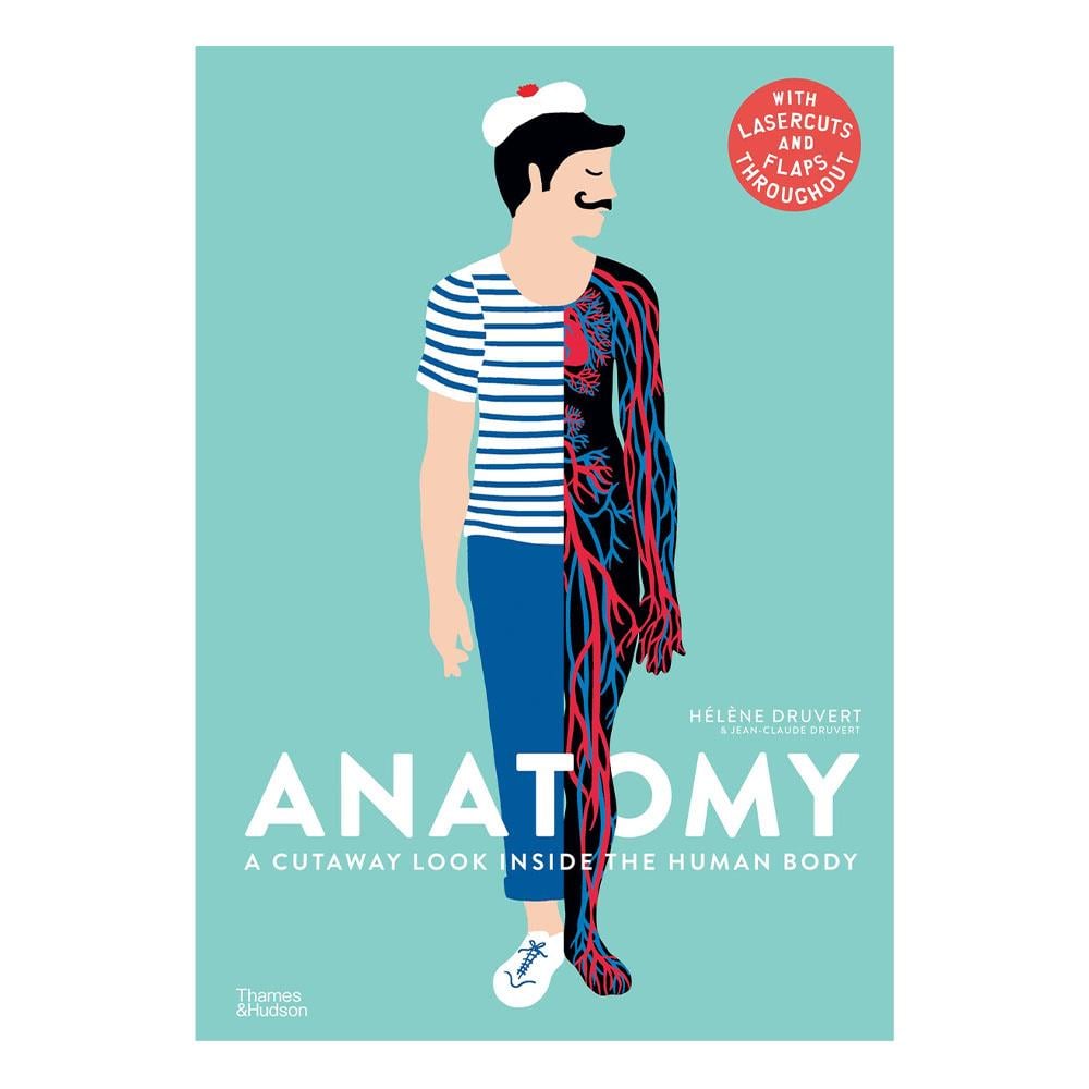 Anatomy Çocuk Kitapları Uzmanı - Children's Books Expert