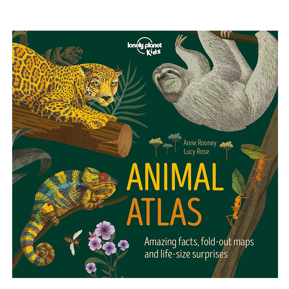ANIMAL ATLAS Çocuk Kitapları Uzmanı - Children's Books Expert