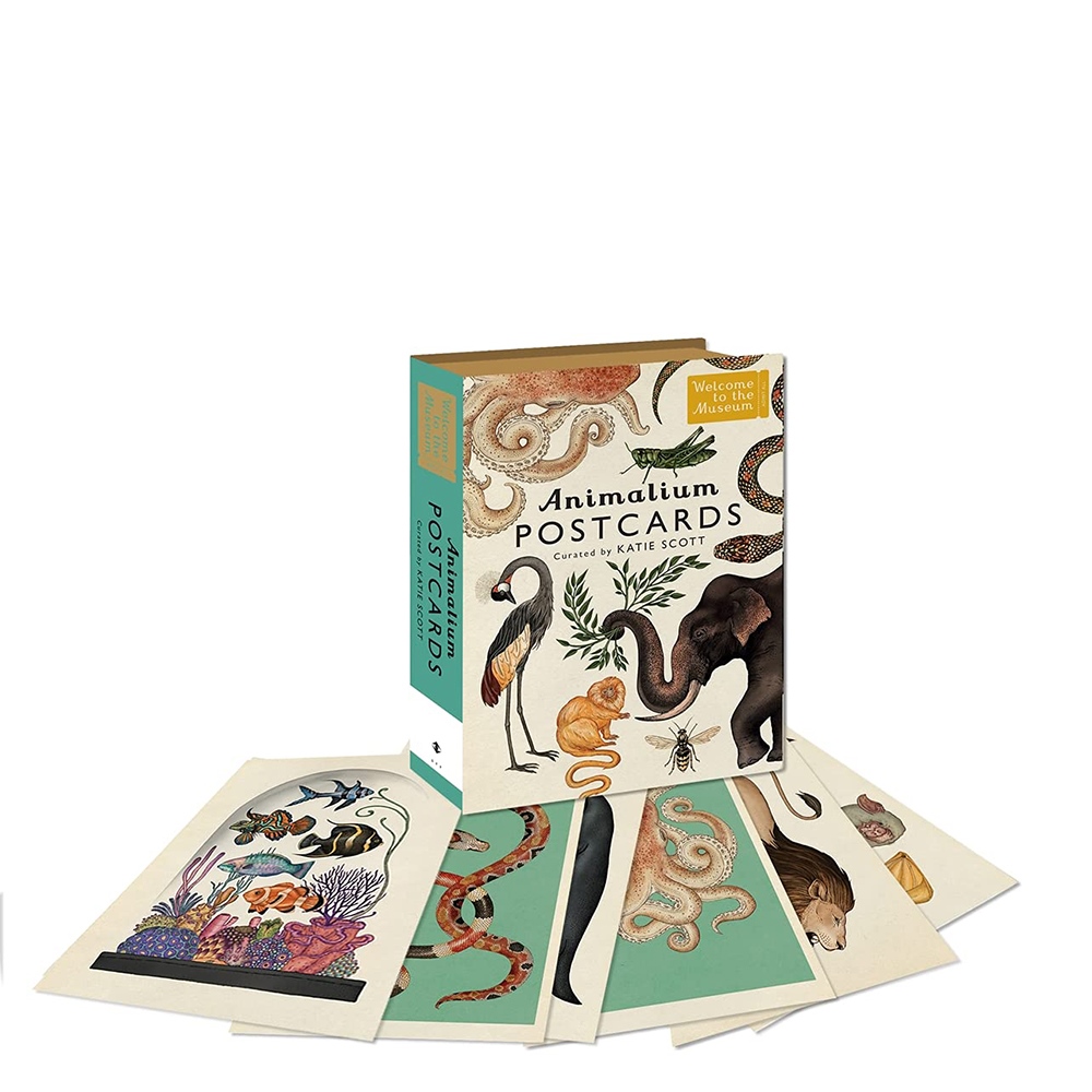 ANIMALIUM POSTCARDS Çocuk Kitapları Uzmanı - Children's Books Expert