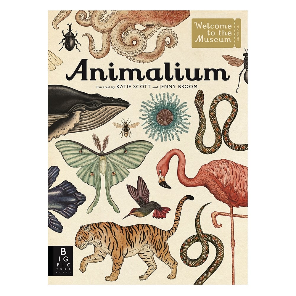 ANIMALIUM - WELCOME TO THE MUSEUM Çocuk Kitapları Uzmanı - Children's Books Expert