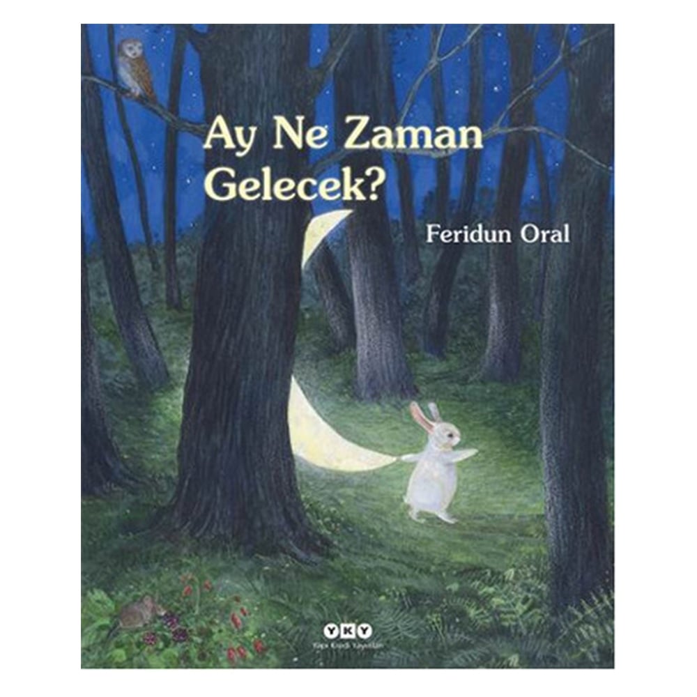 AY NE ZAMAN GELECEK?