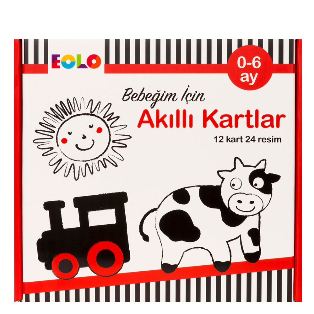 BEBEĞİM İÇİN AKILLI KARTLAR 0-6 AY