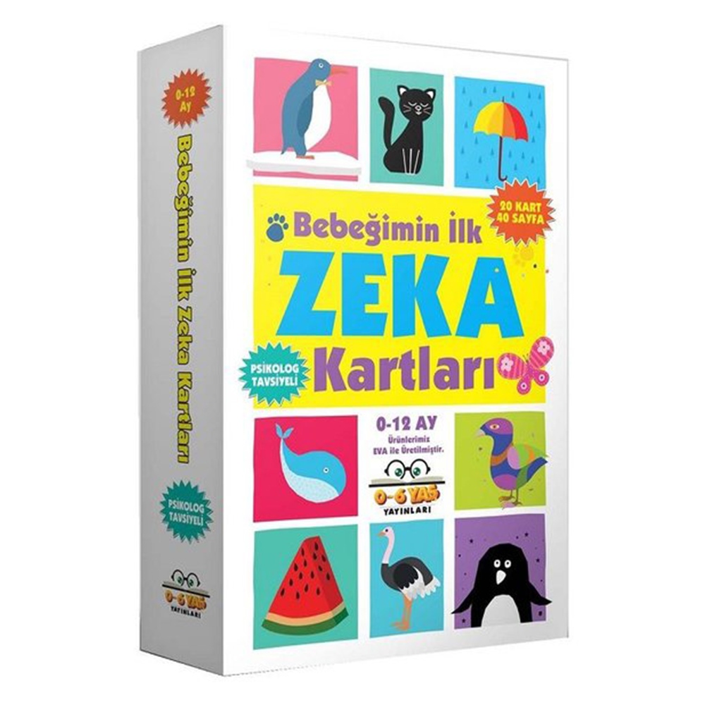 BEBEĞİMİN İLK ZEKA KARTLARI