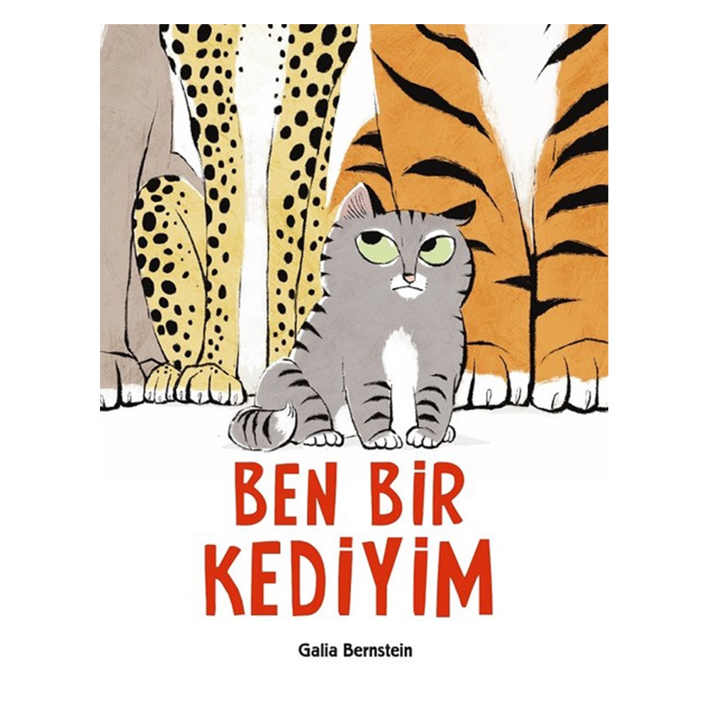 BEN BİR KEDİYİM CİLTLİ