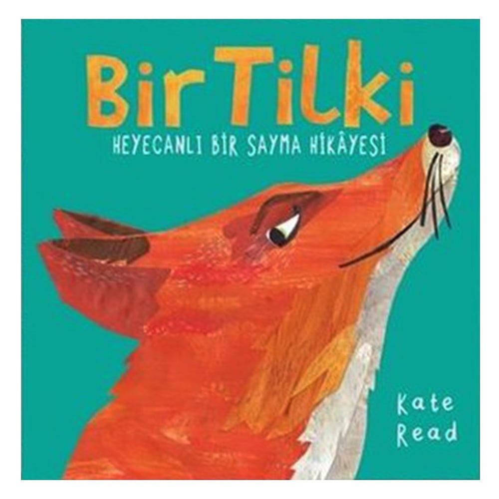 BİR TİLKİ Çocuk Kitapları Uzmanı - Children's Books Expert
