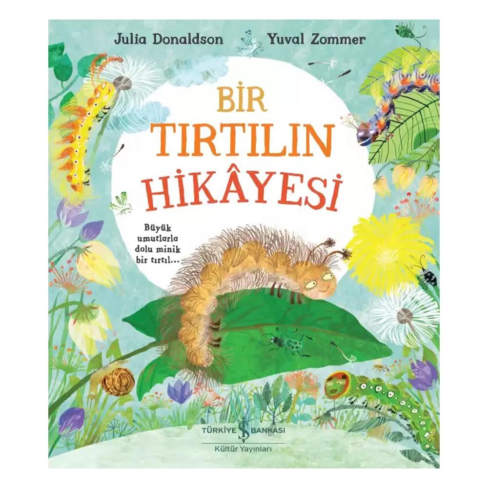 BİR TIRTILIN HİKAYESİ Çocuk Kitapları Uzmanı - Children's Books Expert