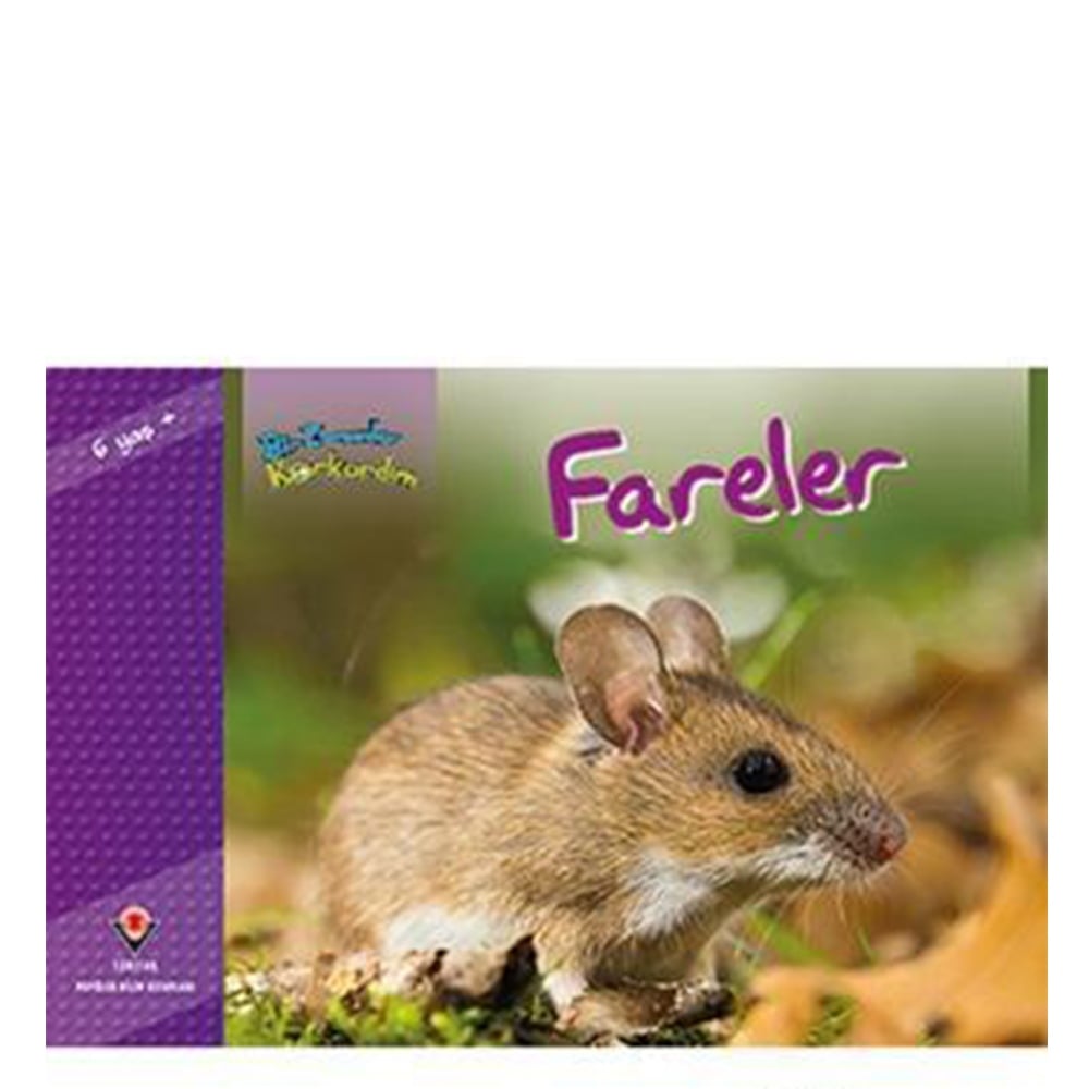 BİR ZAMANLAR KORKARDIM FARELER Çocuk Kitapları Uzmanı - Children's Books Expert