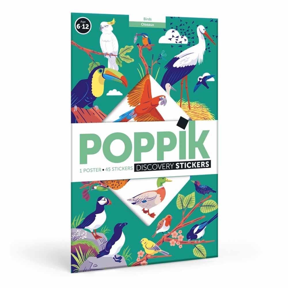 Birds - Discovery Poster Çocuk Kitapları Uzmanı - Children's Books Expert