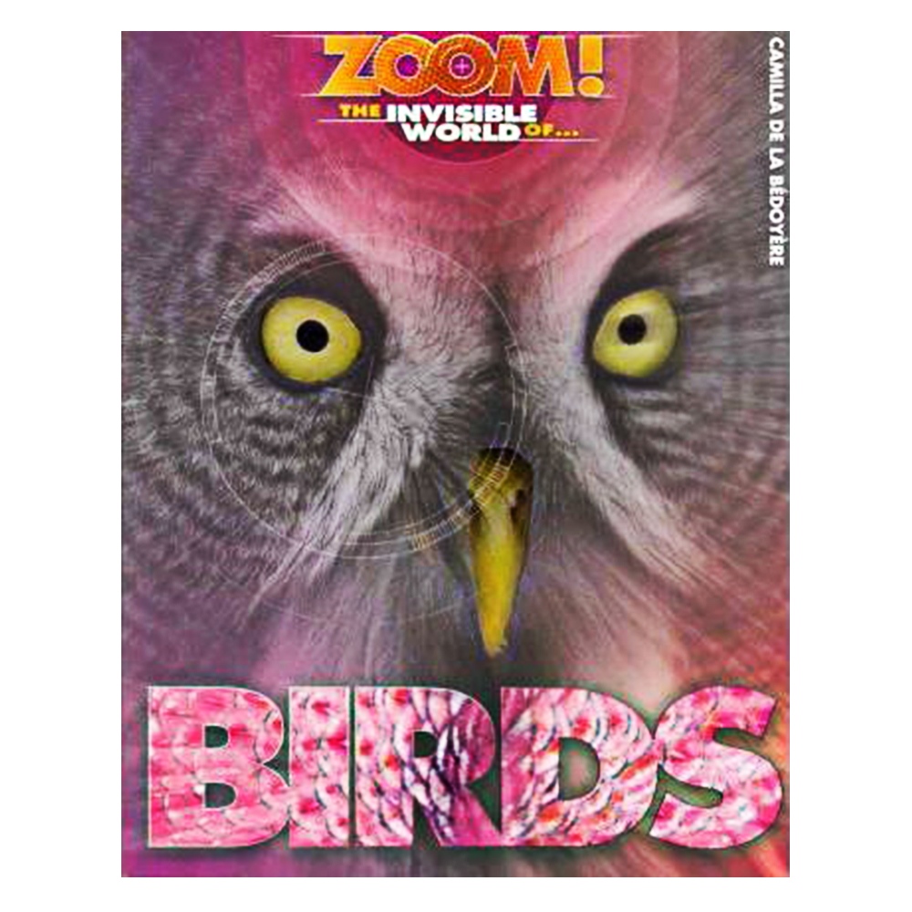 BIRDS - ZOOM! Çocuk Kitapları Uzmanı - Children's Books Expert