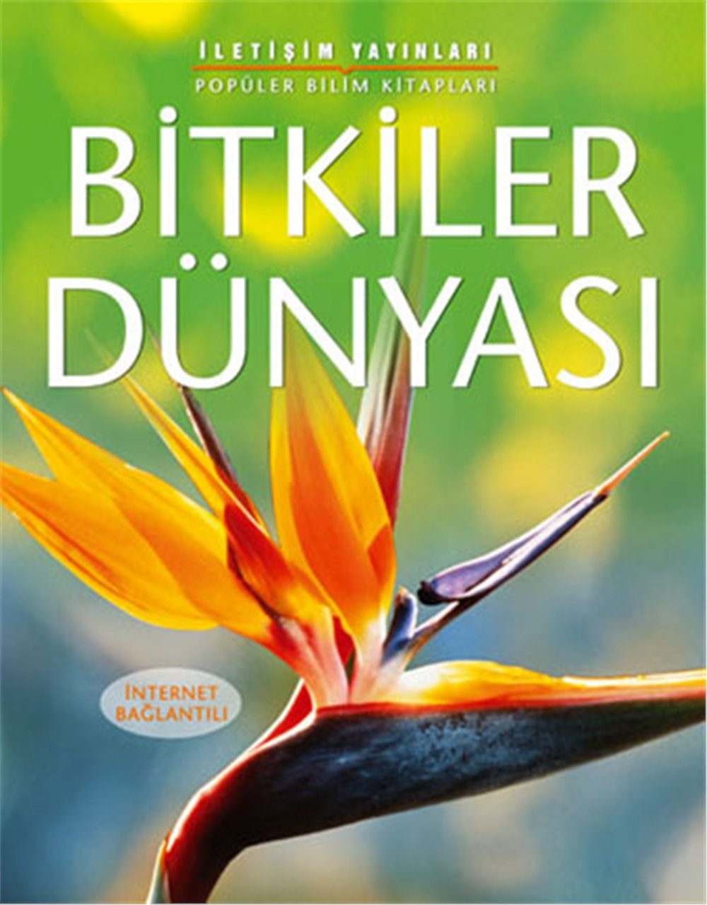BİTKİLER DÜNYASI