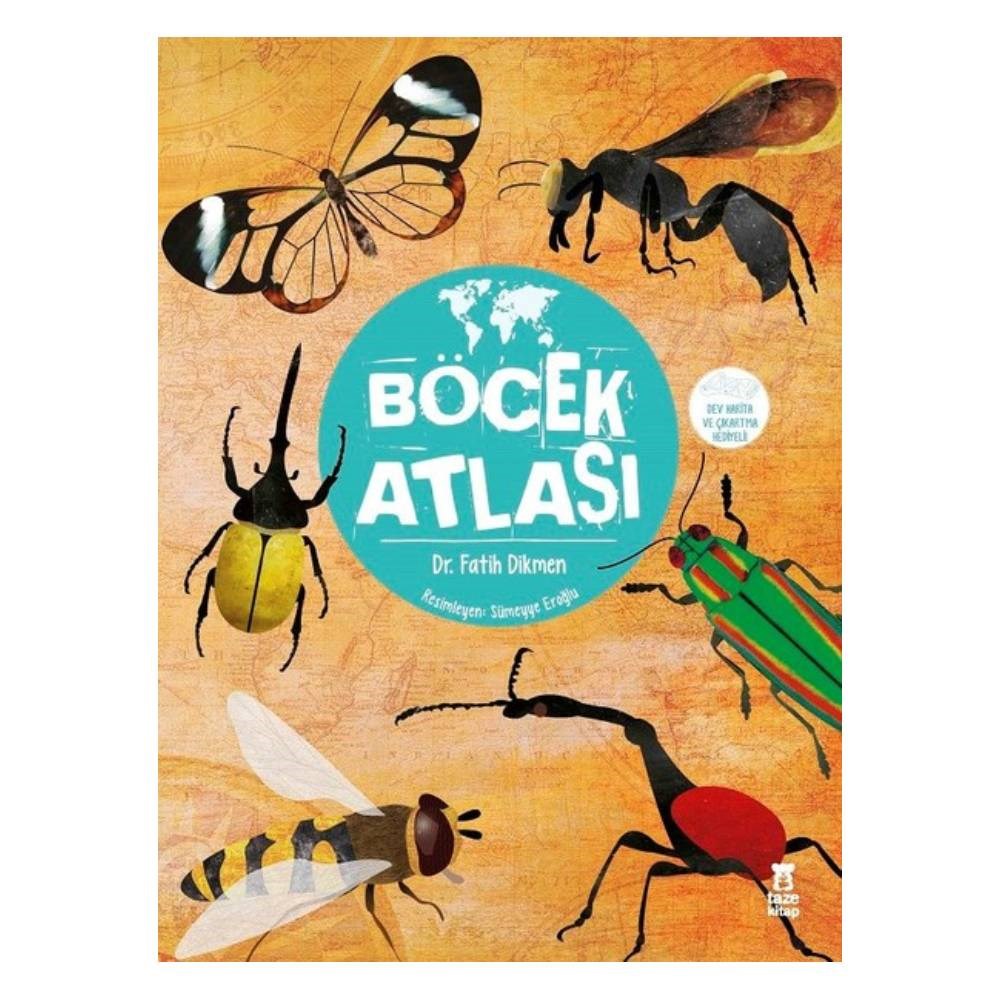 BÖCEK ATLASI - FLEKSİ KAPAK Çocuk Kitapları Uzmanı - Children's Books Expert