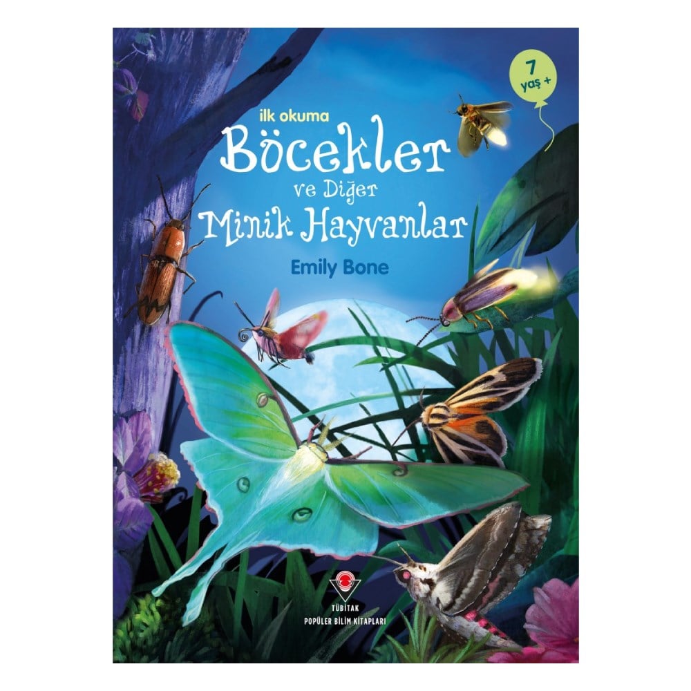 BÖCEKLER VE DİĞER MİNİK HAYVANLAR - İLK OKUMA Çocuk Kitapları Uzmanı - Children's Books Expert