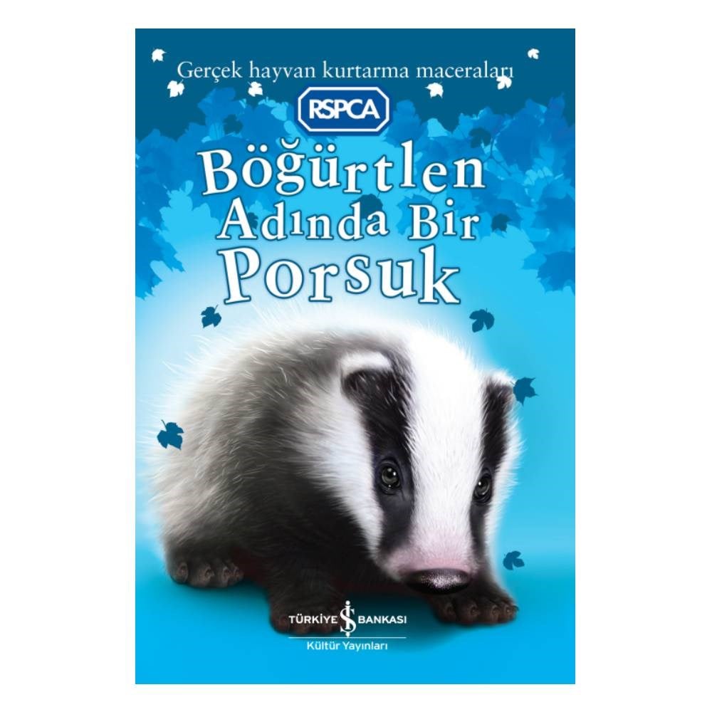 BÖĞÜRTLEN ADINDA BİR PORSUK Çocuk Kitapları Uzmanı - Children's Books Expert