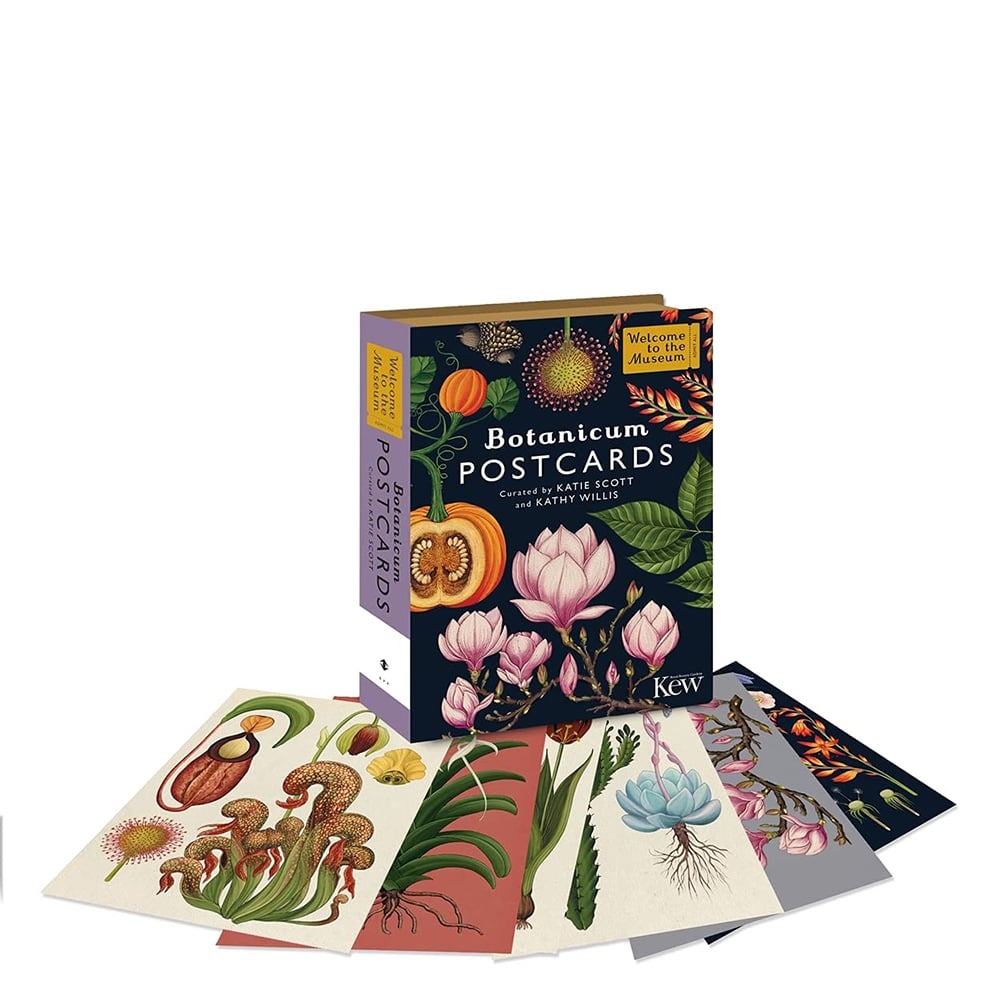 BOTANICUM POSTCARDS Çocuk Kitapları Uzmanı - Children's Books Expert