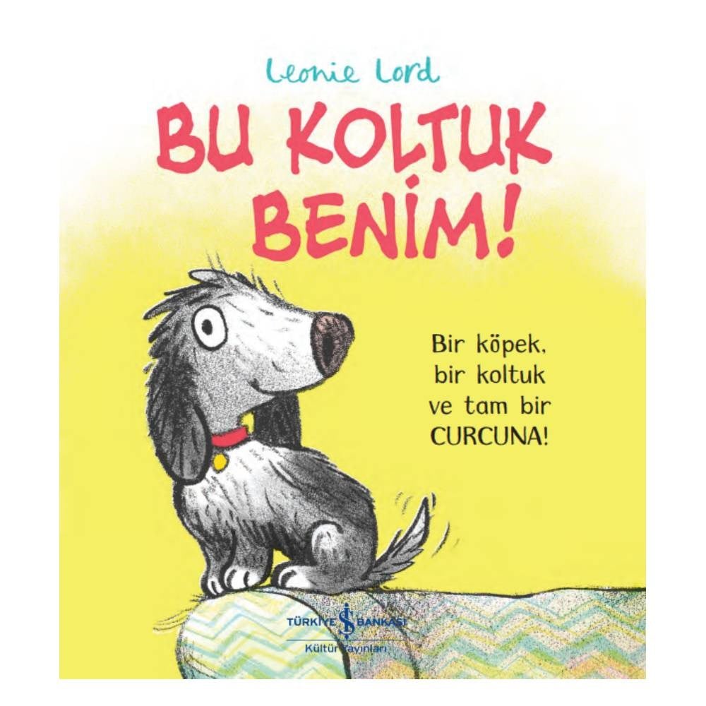 BU KOLTUK BENİM Çocuk Kitapları Uzmanı - Children's Books Expert
