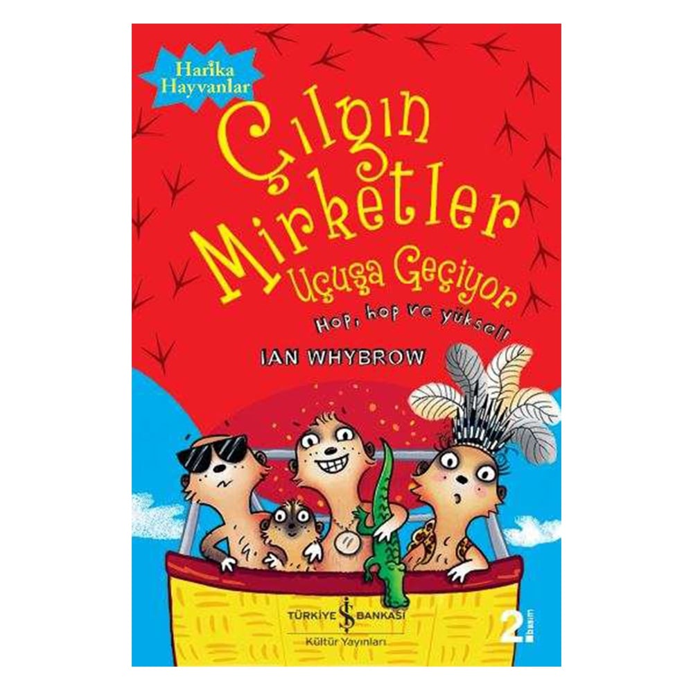 ÇILGIN MİRKETLER: UÇUŞA GEÇİYOR Çocuk Kitapları Uzmanı - Children's Books Expert