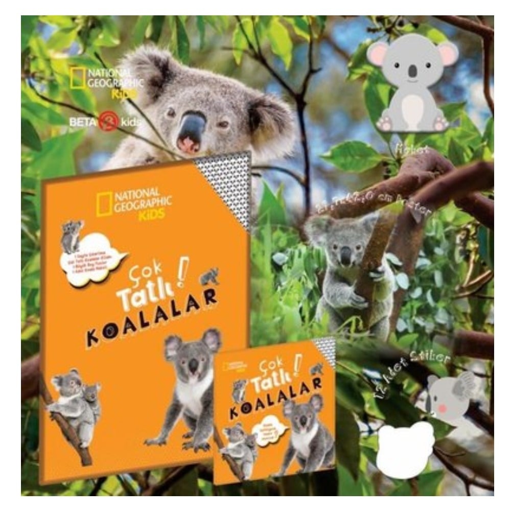 ÇOK TATLI KOALALAR Çocuk Kitapları Uzmanı - Children's Books Expert