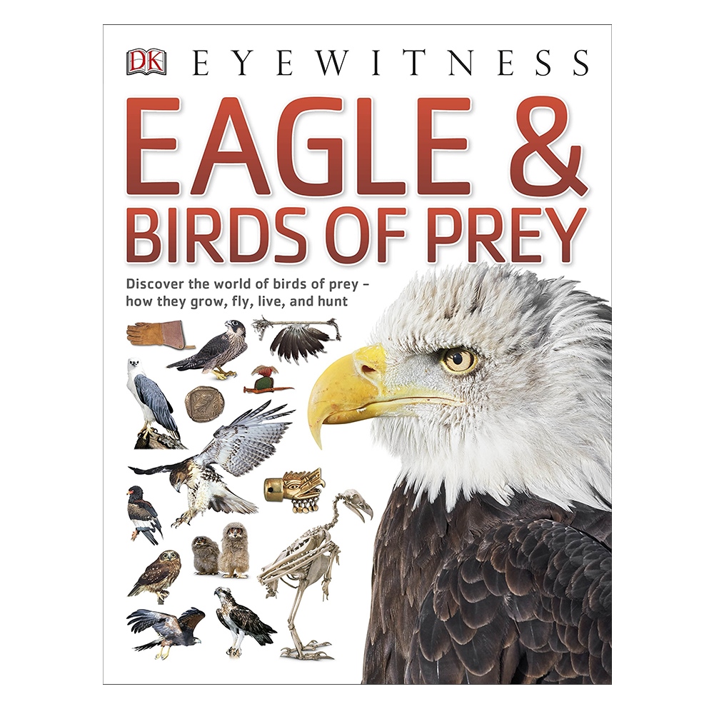 EAGLE & BIRDS OF PREY (EYEWITNESS) Çocuk Kitapları Uzmanı - Children's Books Expert