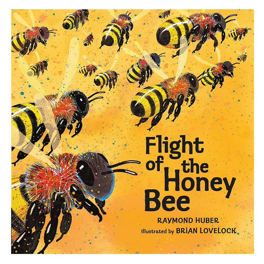 FLIGHT OF THE HONEY BEE #yenigelenler Çocuk Kitapları Uzmanı - Children's Books Expert