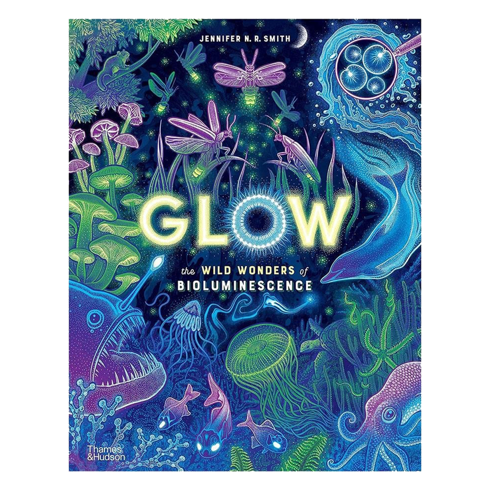 Glow - The Wild Wonders of Bioluminescence Çocuk Kitapları Uzmanı - Children's Books Expert