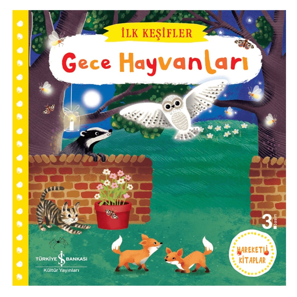 HAREKETLİ GECE HAYVANLARI