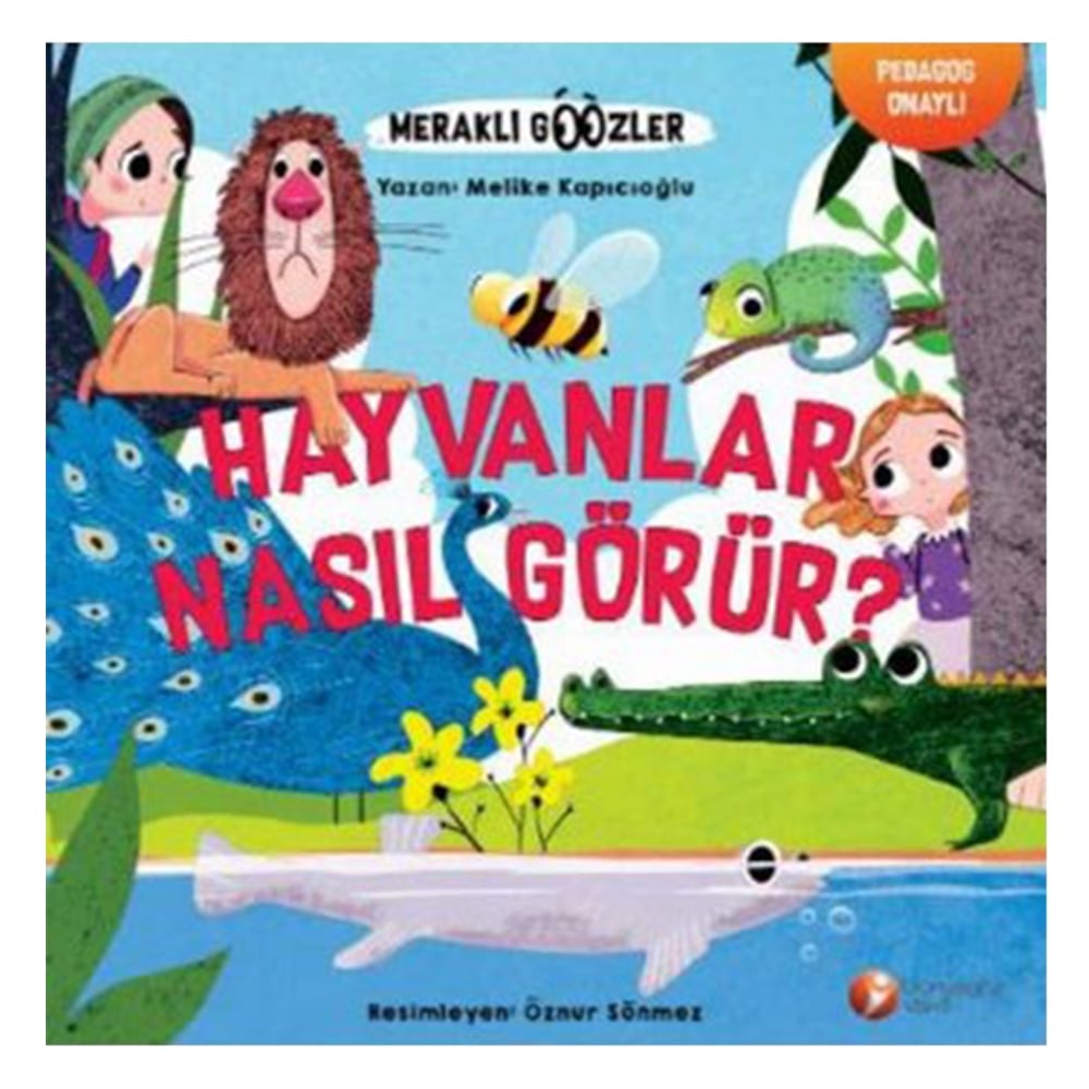HAYVANLAR NASIL GÖRÜR? Çocuk Kitapları Uzmanı - Children's Books Expert