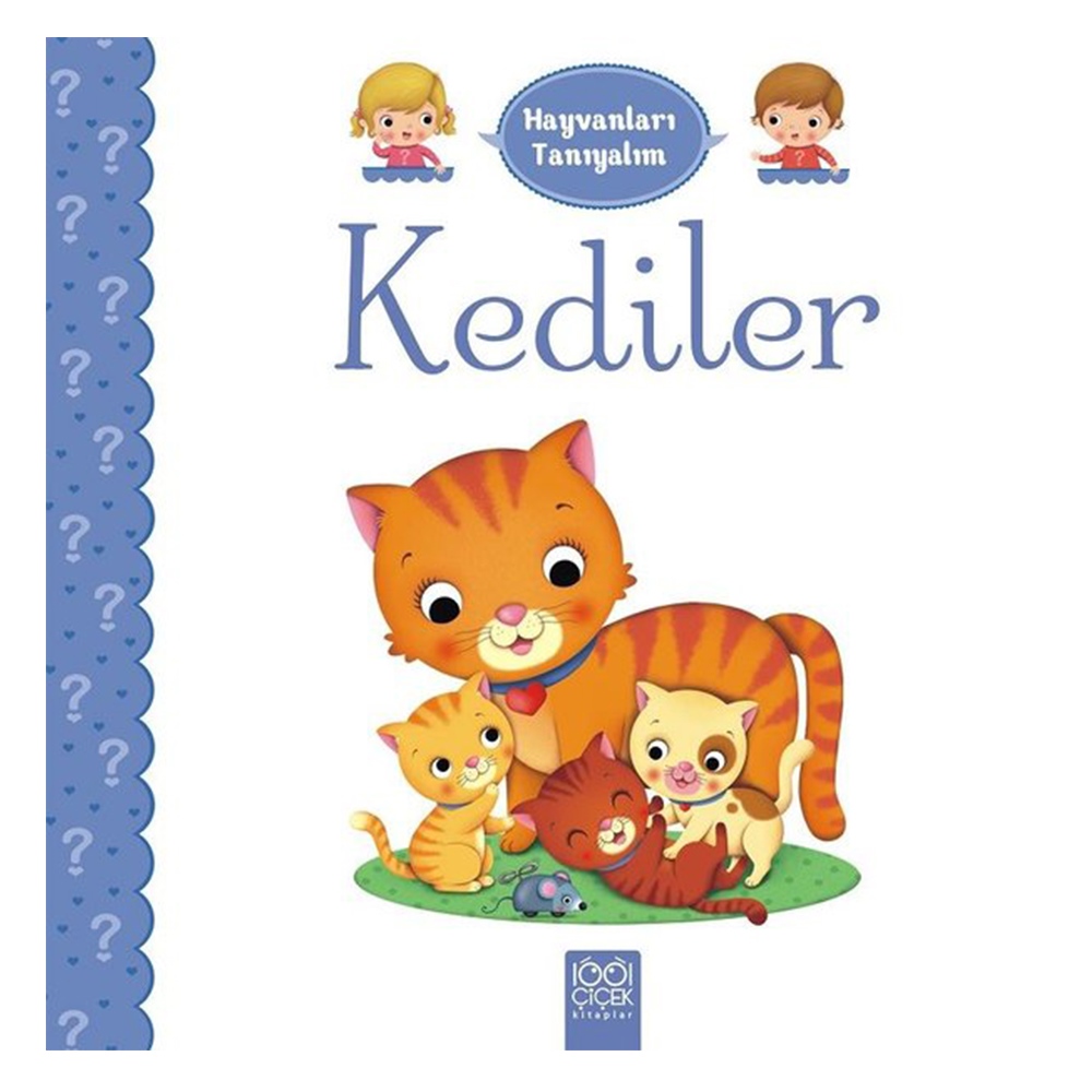 HAYVANLARI TANIYALIM - KEDİLER