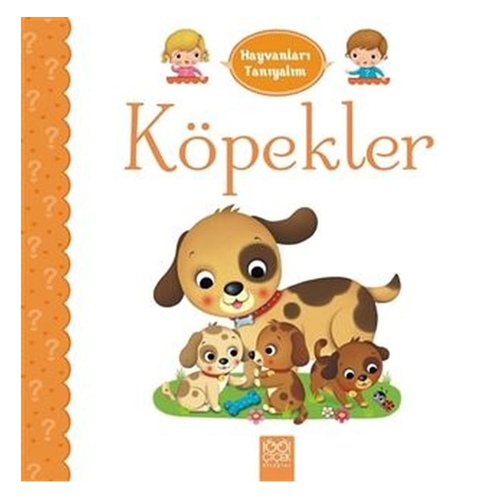 HAYVANLARI TANIYALIM - KÖPEKLER