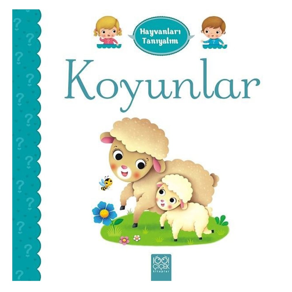 HAYVANLARI TANIYALIM - KOYUNLAR