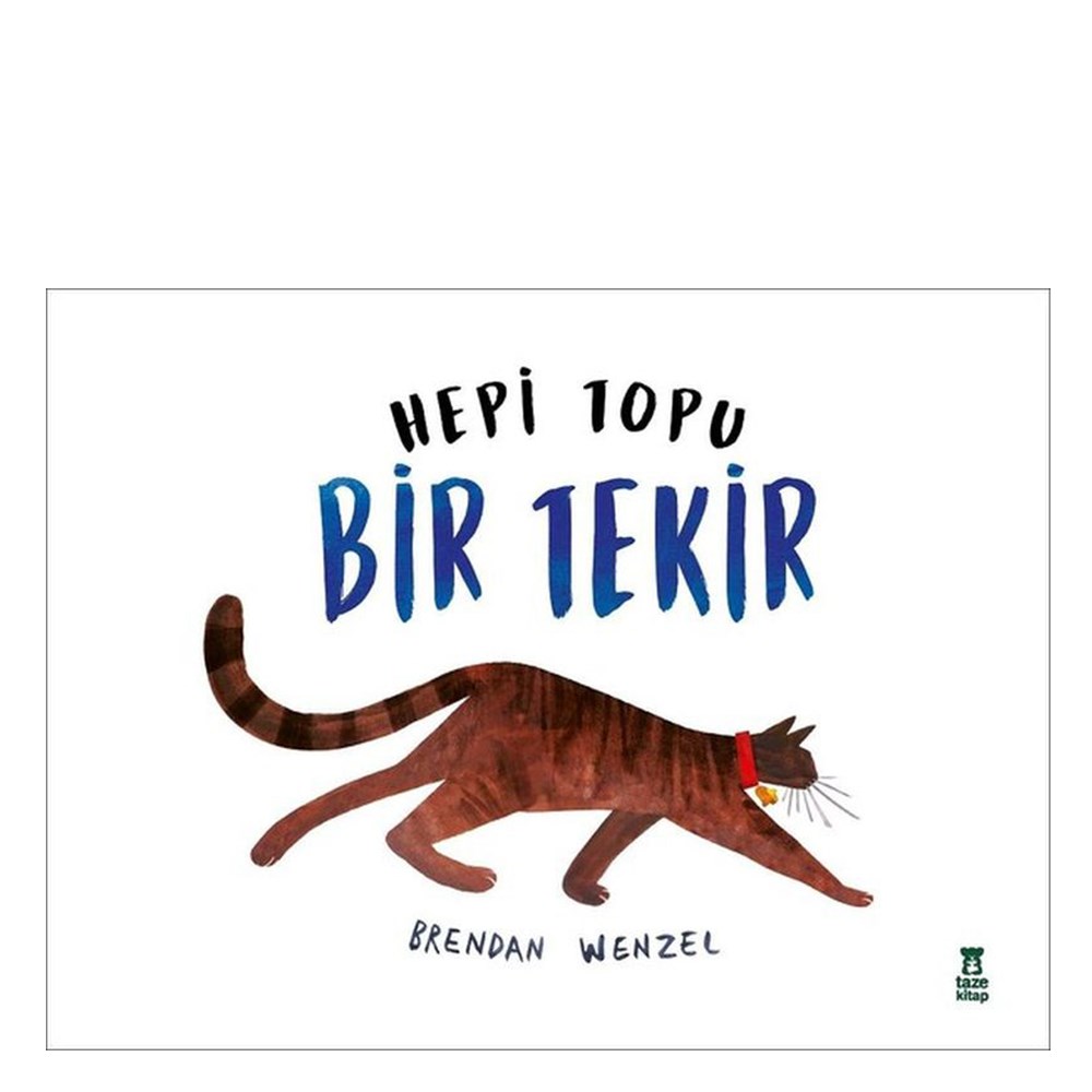 HEPİ TOPU BİR TEKİR Çocuk Kitapları Uzmanı - Children's Books Expert