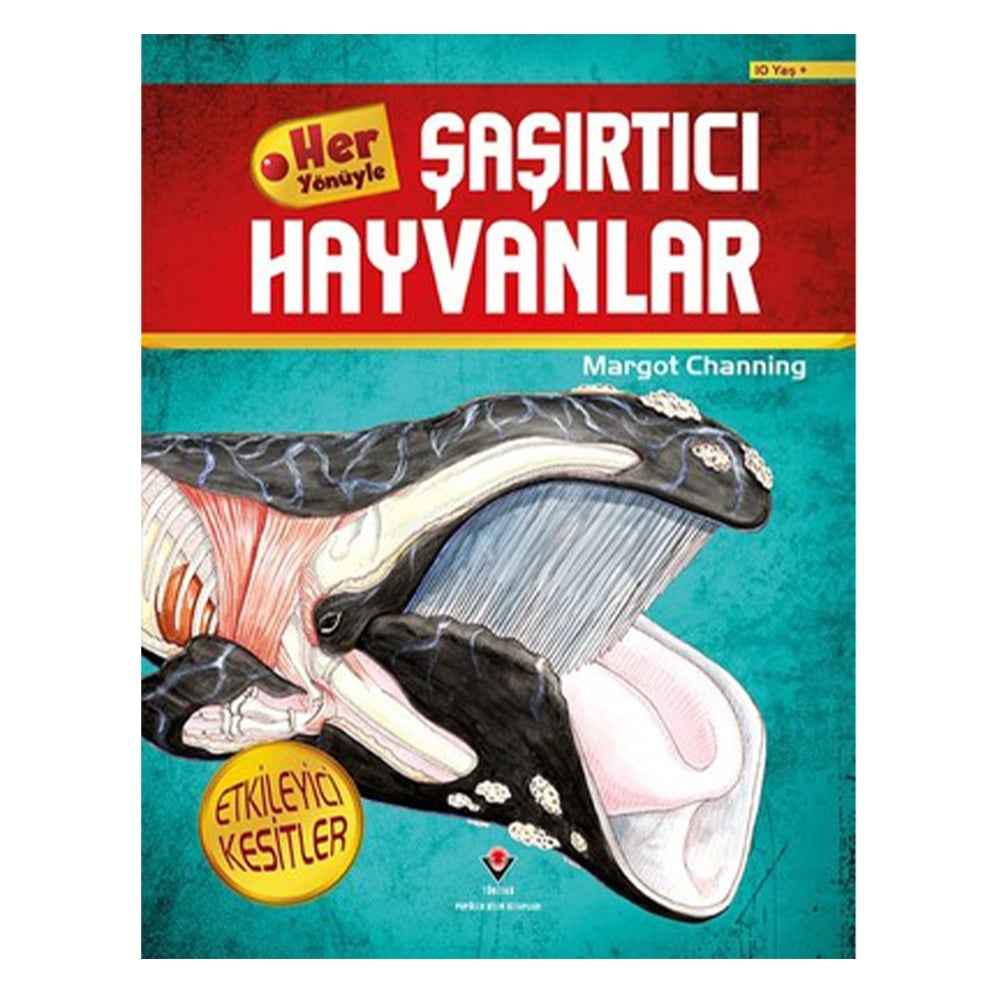 HER YÖNÜYLE ŞAŞIRTICI HAYVANLAR Çocuk Kitapları Uzmanı - Children's Books Expert